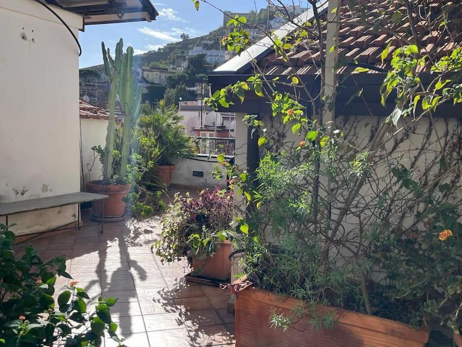 Ventaglieri Panoramic Rooftop In The Historic Center Apartment