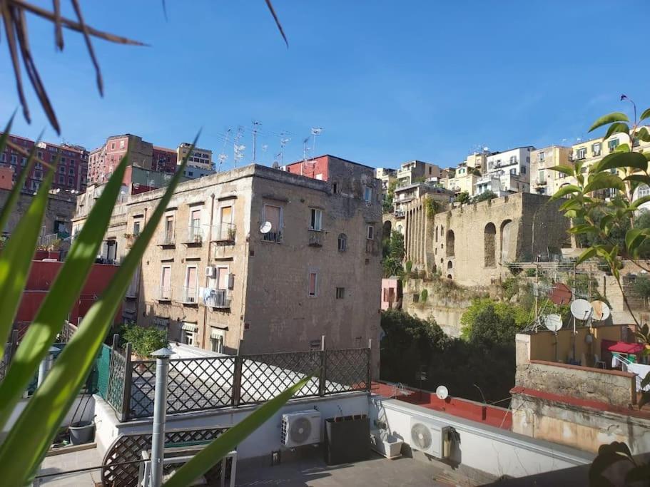 Ventaglieri Panoramic Rooftop In The Historic Center Apartment Naples
