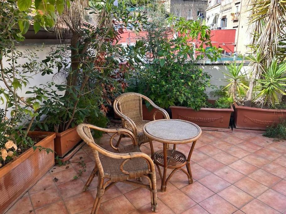 Apartment Ventaglieri Panoramic Rooftop In The Historic Center Naples